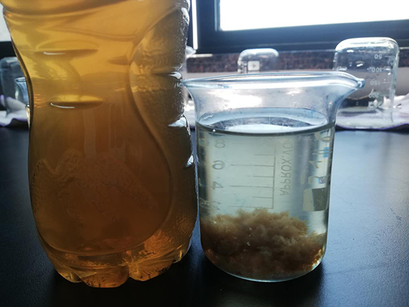 水处理设备 白菜交流社区-白菜网大全论坛
告诉你为什么要使用水处理设备